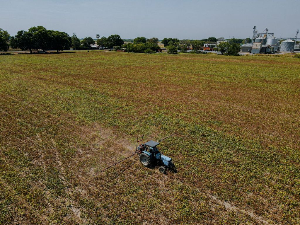Syngenta pone a disposicion Authence contra malezas resistentes en soja