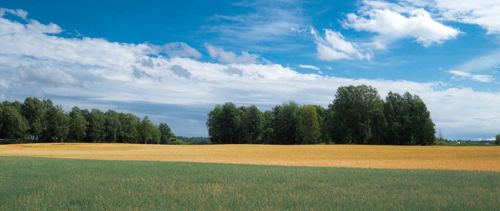 Argentina rural: del dilema binario a la reflexion&nbsp;compleja