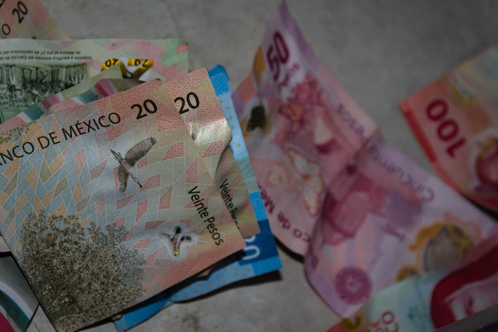 Liquidación de divisas por carne porcina supera los 10 millones de dólares