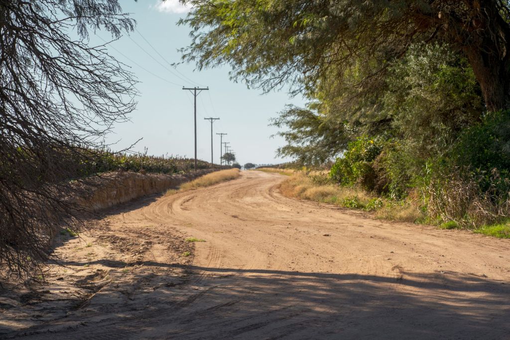 Hundidos en el tiempo: por qué los caminos del campo pierden altura frente a la&nbsp;tierra